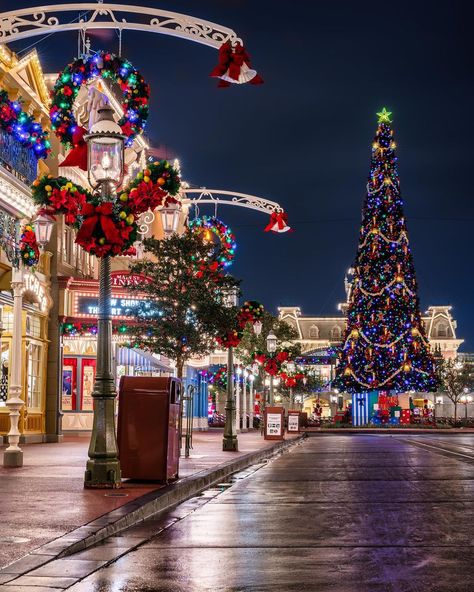 Theme Park Alex on Instagram: “Christmas on Main Street 🎄 ⁣ ⁣ ⁣ #mvmcp #magickingdompark #mainstreetusa #cinderellacastle #mickeymouse #disneysmagickingdom…” Magical Lifestyle, Disney Savings, Green Christmas Tree Decorations, Elegant Christmas Tree Decorations, Disney Christmas Tree, Disneyland Christmas, Disney World Christmas, Christmas Scenery, Main Street Usa