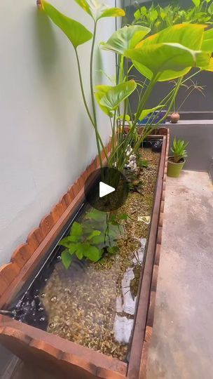 1.4M views · 15K reactions | New pond aquarium ideas #aquariumhobby #aquariumlife #aquariumfish #tranding #viralvideochallenge | Fish Lover 231 Waterbox Aquariums, Aquarium Touch Pool, Hexagon Aquarium, Frogbit Aquarium, What Else Can An Lg. Aquarium Be Used For, Aquarium Fish, Water Garden, Water