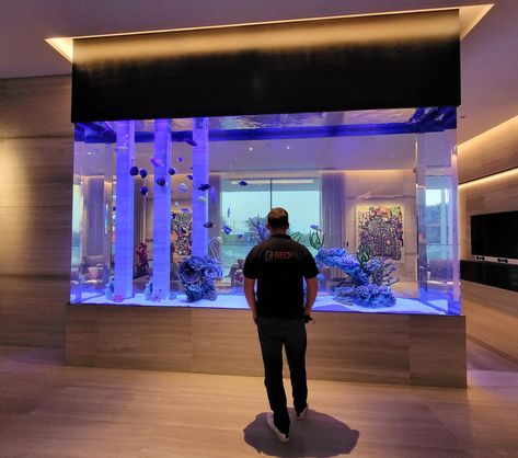 Custom Fish Tanks, Fish Tank Wall, Custom Aquarium, Public Aquarium, Wall Aquarium, Fish Tank Design, Home Aquarium, Aquarium Design, Pond Design