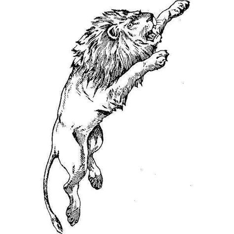 Small Symbol Tattoos, Cherub Art, Sketch Style Tattoos, Tarot Tattoo, Lion Head Tattoos, Lion Drawing, Sharpie Tattoos, Leo Tattoos, Lion Tattoo Design