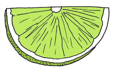 lime wedge illustration Lime Wedge Tattoo, Lemon Wedge Tattoo, Lime Wedge Drawing, Key Lime Pie Drawing, Lime Illustration, Lime Wedge, Tattoos And Piercings, Piercings, Tattoos