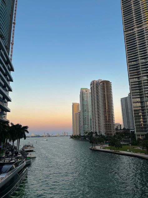 Miami Beach Sunset, Miami Vision Board, Brickell Aesthetic, Miami Astethic, Miami Beach Aesthetic, Miami Lifestyle, Miami Aesthetic, Miami Summer, Miami Sunset