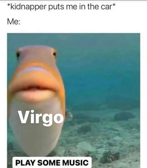 Virgo Season Is Here Meme, Virgo Memes Funny Truths, Virgo Memes Funny, Virgo Hairstyles, Virgo Funny, Virgo Sayings, Virgo Core, Funny Virgo Quotes, Virgo Emotions