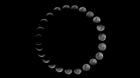 Moon Rotation, Moon Orbit, Nasa Goddard, Astronomy Science, Moon Surface, Planets And Moons, Earth Surface, Weird Science, Dark Side Of The Moon