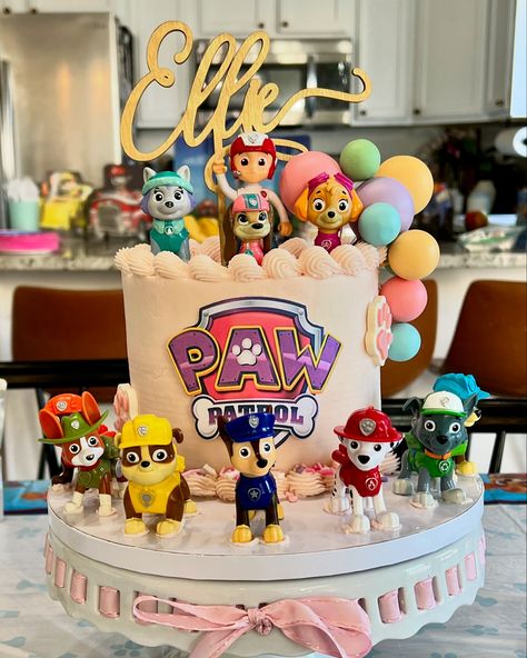 Paw patrol party for my granddaughter ♥️ Paw Patrol Second Birthday, Paw Patrol Birthday Party Girl, Paw Patrol Party Ideas Girl, Paw Patrol Girl Birthday, Girl Paw Patrol Party, Paw Patrol Party Ideas, Paw Patrol Birthday Party Cake, Girl Birthday Cupcakes, Sky Paw Patrol