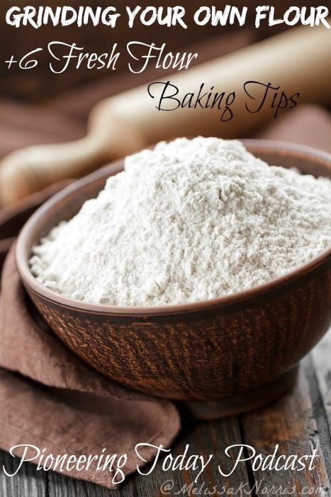 Baking with fresh milled flour you’ve ground at home is quite different than store bought flour. Grinding my own flour with a machine or an old vintage design makes me feel like a real pioneer woman. Here are 6 grinding and baking tips I’ve picked up along the way. #flour #milledflour #flourmill Pancake Biscuits, Fresh Milled Flour, Liquid Eggs, Wheat Berries, Baking Mixes, Dessert Cake, Flour Recipes, Baking Flour, Bread Machine