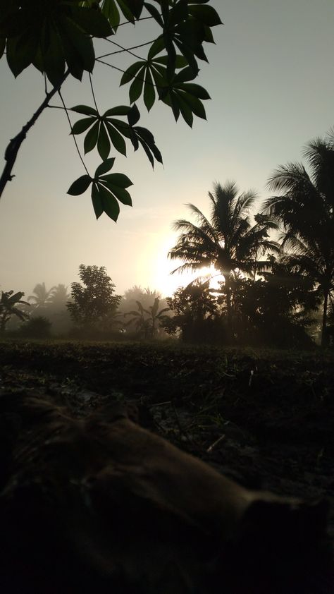 Unfiltered. Somewhere in Koronadal City, South Cotabato, PH. Cotabato City, Foggy Sunrise, Aesthetic Art, Quick Saves, Art