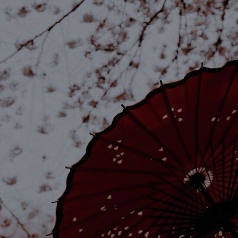 Ancient Chinese Aesthetic, Ancient China Aesthetic, Japan Icon, Chinese Aesthetic, Memoirs Of A Geisha, The Hierophant, Red Umbrella, Red Icons:), Japan Aesthetic