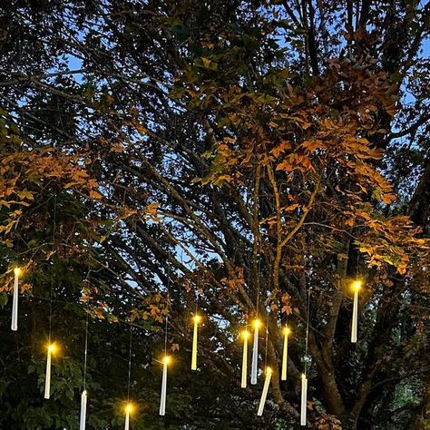 Amanda Moore | Interior Decor • Design on Instagram: "Some still of my birthday dinner table with floating candles 🥰 I love this moody grey palette for fall 🩶 To create the floating candles I used flameless candles and fishing wire to hang them from tree branches… it was actually a little trickier than I thought it would be, but I absolutely love the way it looks! And it creates a beautiful glow on the table while saving space. Shop for your outdoor tablescape via the link in my bio! #hou Floating Candles Tree, Outdoor Masquerade Party, Birthday Dinner Table, Dinner Party Candles, Floating Candle Decorations, Floating Candles Halloween, Fall Hosting, Floating Led Candles, Black Cabin