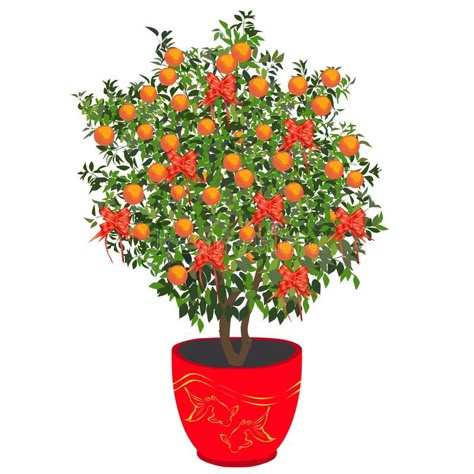 Chinese New Year Flower, Chinese Tree, Kumquat Tree, White Rat, Mandarin Tree, Chinese New Year Card, Chinese New Year Crafts, Halloween Sweets, Flower Drawing Design