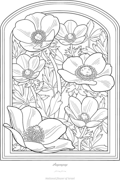 Welcome to Dover Publications Activity Pages For Kids Free Printables, Flower Colouring Pages, Flower Colouring, Dover Coloring Pages, Dover Publications Coloring, Poppy Coloring Page, Garden Coloring Pages, Flower Drawings, Embroidery Wall Art