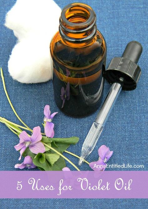 5 Uses for Violet Oil Violet Essential Oil, Heather Ideas, Violet Oil, Diy Beauty Tips, Homemade Essential Oils, Beauty Video Ideas, Natural Beauty Care, Thrifty Thursday, Vegetable Nutrition