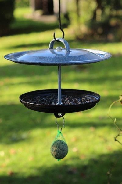 Garden Ides, Bird Feeder Stands, Bird Feeder Station, Cute Garden Ideas, Koi Pond Design, Wood Bird Feeder, Squirrel Proof Bird Feeders, Outside Art, Steel Furniture Design