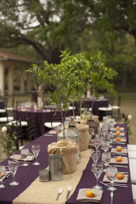 Eggplant and Burlap Destination Powel Crosley Estate Sarasota Wedding - Sarasota Wedding Photographer Stephanie A. Smith Photography (22) Wedding Bachelorette Party, Tuscan Inspired, Wedding Engagement Pictures, Wedding Color Inspiration, Country Wedding Dresses, Bbq Party, Champagne Wedding, Wedding Engagement Photos, Estate Wedding