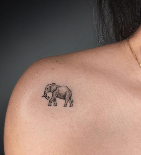 Micro-realistic style elephant tattoo on the front shoulder Elephant Tattoo Design For Women, Little Elephant Tattoos, Realistic Elephant Tattoo, Simple Elephant Tattoo, Elephant Tattoo Ideas, Cute Elephant Tattoo, Small Animal Tattoos, Tattoo Design For Women, Small Dragon Tattoos