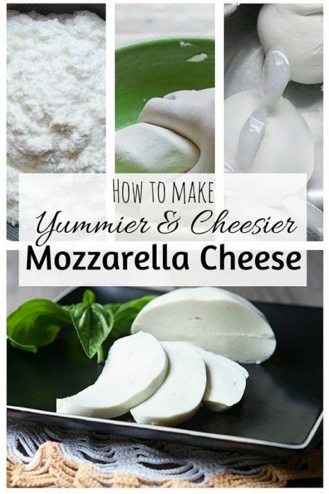 With basic tools and ingredients, you can make your own mozzarella cheese in less than an hour. It's fun to make and definitely saves you money. Southern Baked Macaroni And Cheese, Making Cheese At Home, Make Mozzarella Cheese, Baked Macaroni And Cheese Recipe, Baked Macaroni And Cheese, Diy Cheese, Macaroni And Cheese Recipe, Cream Cheese Cookies, Baked Macaroni