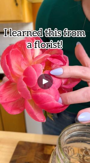 Genius Flower Hacks the Professionals Use! 💐 | Genius Flower Hacks the Professionals Use! 💐

Tips and Tricks the professionals use! Buying guides, floral design secrets and easy tricks to keep your... | By Jeff & LaurenFacebook Florist Tips And Tricks, Easy Flower Arrangements Diy, Flower Hacks, Floristry Techniques, Flower Tips, Bubble Painting, Easy Tricks, Flower Guide, Flower Vase Arrangements