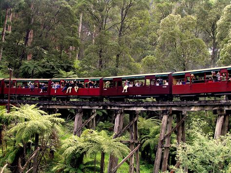 Puffing Billy Railway trestle bridge over Monbulk Creek at Belgrave. Puffing Billy Railway Australia, Puffing Billy Railway, Puffing Billy Melbourne Australia, Puffing Billy, Prettiest Eyes, Trestle Bridge, Food Tech, Random Images, Old Trains