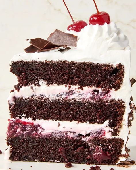 Black Forest Cake Recipe | The Kitchn Black Forest Cherry Cake, Red Velvet Cheesecake Cake, Lemon Cream Cake, Black Forest Cake Recipe, German Cake, Vegan Whipped Cream, Cherry Sauce, Canned Cherries, Red Velvet Cheesecake