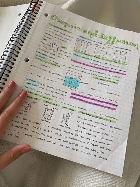 Organized Biology Notes, Absorption By Roots Biology Notes, Nat 5 Biology Notes, Excretion And Osmoregulation Notes, Phylum Cnidaria Notes, Biology Notes Osmosis, Osmosis Notes Biology, Csir Net Life Science Notes, Cell Notes Biology Class 9 Aesthetic