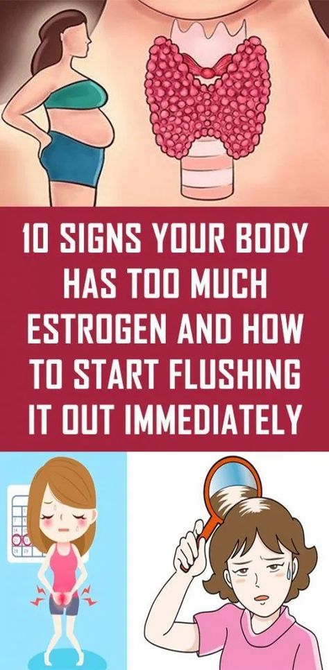 10 Signs Your Body Has Too Much Estrogen And How To Start Flushing it Out Immediately - Martha Hawkins - Medium Too Much Estrogen, Chronic Constipation, Endocannabinoid System, Estrogen Dominance, Low Carb Diets, Detox Program, Leaky Gut, Liver Health, Hormone Balancing