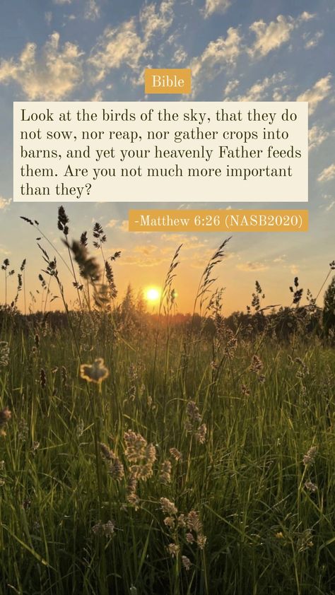 Bible | Matthew 6:26 | NASB2020 - New American Standard Bible 2020 Matthew 6:26 Wallpaper, Bible Matthew, Mathew 5, Matthew 6 26, Memory Verses, Matthew 25, Bible Verse Background, New American Standard Bible, Matthew 6