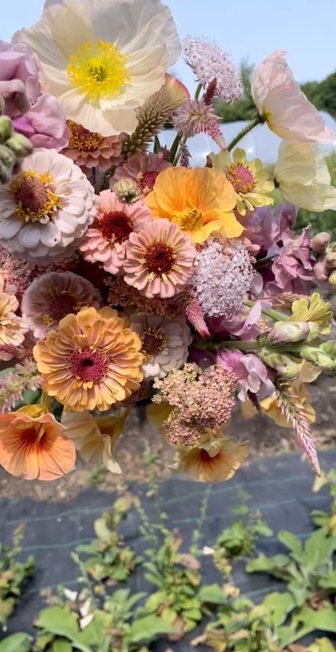 Market Bouquets, Wildflower Wedding Theme, Bouquet Inspiration, Cut Flower Garden, Nothing But Flowers, Bouquet Arrangements, Little Flowers, Flower Farm, Flower Beauty