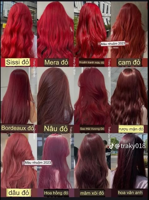 Red Rose Hair Color, Different Types Of Hair Colors, Type Of Red Hair Color, Types Of Red Hair, Red Halo Hair, Maroon Hair Color, Halo Hair Colors, Asian Red Hair, Pelo Color Vino