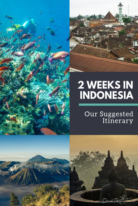 Are you looking to head off on an Indonesia backpacking adventure and looking for the best 2 week itinerary for your time in Indonesia? Our suggested Indonesia itinerary, has you covered if you only have 2 weeks to spend in the beautiful South East Asia country. This 2 week itinerary is filled with all the Indonesia must-do activities, sites to see and places to check out while on your Indonesian adventure! Indonesia 2 Week Itinerary, Indonesia Travel Itinerary, Backpacking Indonesia, Indonesia Itinerary, Travelling Asia, Backpacking Routes, Dream Holidays, Vietnam Backpacking, Backpacking India