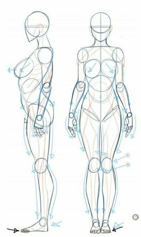 Drawing Body Proportions, Figure Drawing Tutorial, Human Body Drawing, Human Figure Sketches, Drawing Female Body, Body Shape Drawing, Body Sketches, Human Anatomy Drawing, Human Figure Drawing