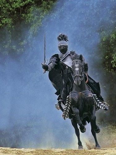 Medieval Romance, Medieval Knights, Medieval World, Knight In Shining Armor, Knight Armor, Medieval Armor, Medieval Knight, Blackest Knight, Fantasy Armor