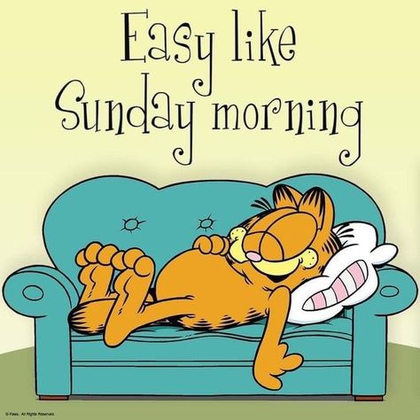 Lazy Morning Quotes, Sunday Morning Funny, Morning Funny Quotes, Sunday Morning Humor, Garfield Quotes, Garfield Wallpaper, Garfield Pictures, Sunday Morning Quotes, Sunday Quotes Funny