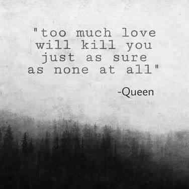 25 Inspiring Queen Quotes From Freddie Mercury, Brian Mays (And More) That Remind You To Stay Fabulous | YourTango Inspirational Song Lyrics, Freddie Mercury Quotes, Queen Lyrics, Too Much Love, Freddy Mercury, Jason Mraz, Quotes Lyrics, Inspirational Songs, Song Lyric Quotes