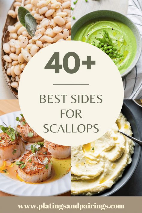 Wondering what to serve with scallops for dinner? This handy guide covers all of the best sides for scallops – from fresh vegetables to risottos, and more! Salad With Scallops, Scallop Sides Dishes, What To Make With Scallops, What To Eat With Scallops, Sides With Scallops, What Goes With Scallops, Scallops Side Dish, Dinner Recipes Scallops, Sides For Scallops Dishes