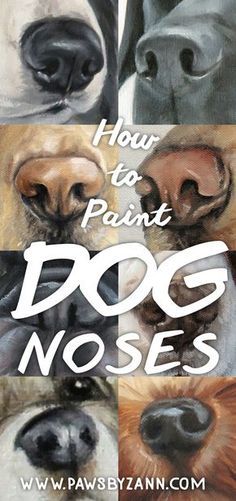 Dog Drawing Tutorial, Dog Noses, Pet Portrait Paintings, Painting Dogs, Dog Portraits Painting, Portraits Painting, Dog Portraits Art, Painting Animals, 강아지 그림