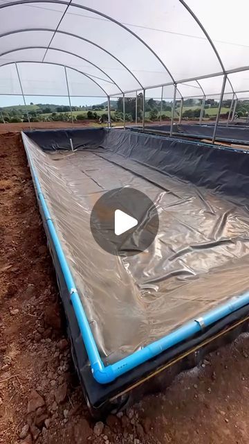 Mia Business Hub on Instagram: "Check out this pond…

#pond #fish #farming #nigeria #africa #world" Raised Fish Pond Ideas, Fish Farming Ideas Backyard, Fish Farming Ponds, Home Pond, Best Fish For Aquaponics, Fish Ponds Backyard, Farm Pond, Fish Farm, Aquaponics Fish