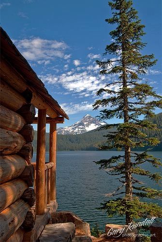 Forest Life, Log Home Decorating, Lakeside Cottage, Mountain Living, Cabin Living, Bull Run, A Log, Cabins And Cottages, Cabin Life