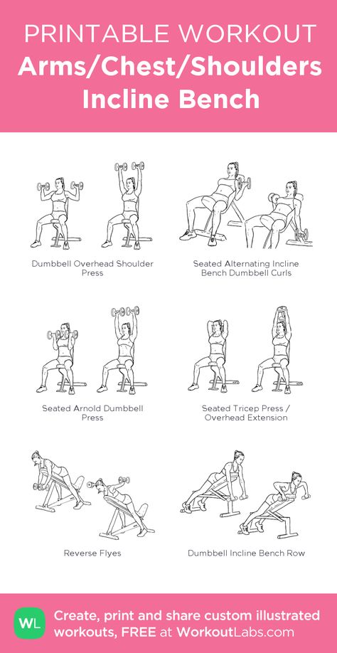 Arms/Chest/Shoulders Incline Bench: my visual workout created at WorkoutLabs.com • Click through to customize and download as a FREE PDF! #customworkout Workouts Using Weight Bench, Weights Bench Workout, Seated Bench Arm Workout, Dumbell Workout With Bench, Dumbbell Workout With Bench, Workout Bench Workouts, Bench Gym Workout, Bench Shoulder Workout, Bench And Dumbells