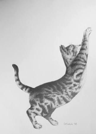 Drawing of cat stretching Chocolate Drawing, Chocolate Sculpture, Chocolate Sculptures, Cat Stretching, Sushi Art, Cat Motif, Creepy Tattoos, Cat Tattoo Designs, Family Painting