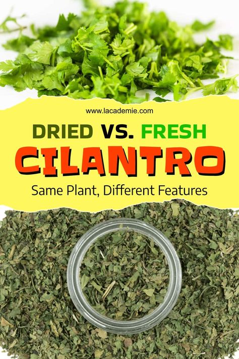 Comparing Dried and Fresh Cilantro: Different Uses 2024 Dried Cilantro Uses, Dehydrated Recipes, Dried Cilantro, Drying Cilantro, European Cuisine, Caribbean Recipes, You Have No Idea, Freeze Drying, Fresh Cilantro