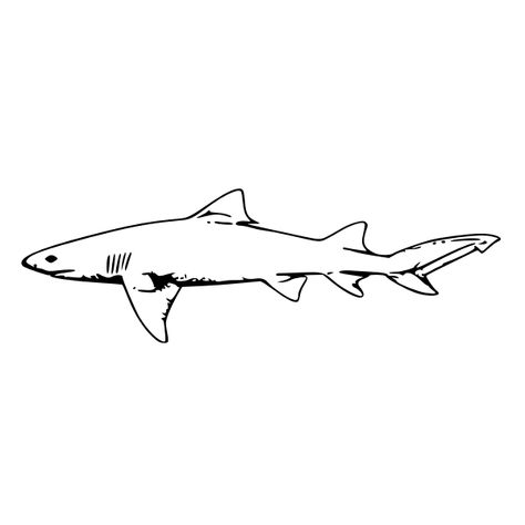 How To Draw A Lemon Shark, Silly Shark Tattoo, Shark Tattoo Design Drawings, Whale Shark Outline, Shark Line Tattoo, Shark Drawing Simple, Lemon Shark Tattoo, Simple Shark Drawing, Lemon Shark Drawing