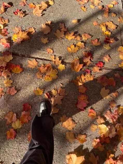 Brooklyn Fall Aesthetic, Autumn School Aesthetic, Fall Semester Aesthetic, Autumn Girl Aesthetic, Downtown Girl Autumn, Fall Girl Aesthetic, Fall Leaves Aesthetic, Aesthetic With Friends, Children Aesthetic