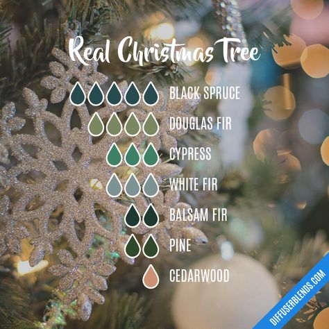 Christmas Tree Diffuser Blend, Christmas Tree Essential Oil Blend, Christmas Tree Essential Oil, Christmas Diffuser Blends, Diffuser Scents, Scent Blends, White Fir, Christmas Tree Scent, Black Spruce