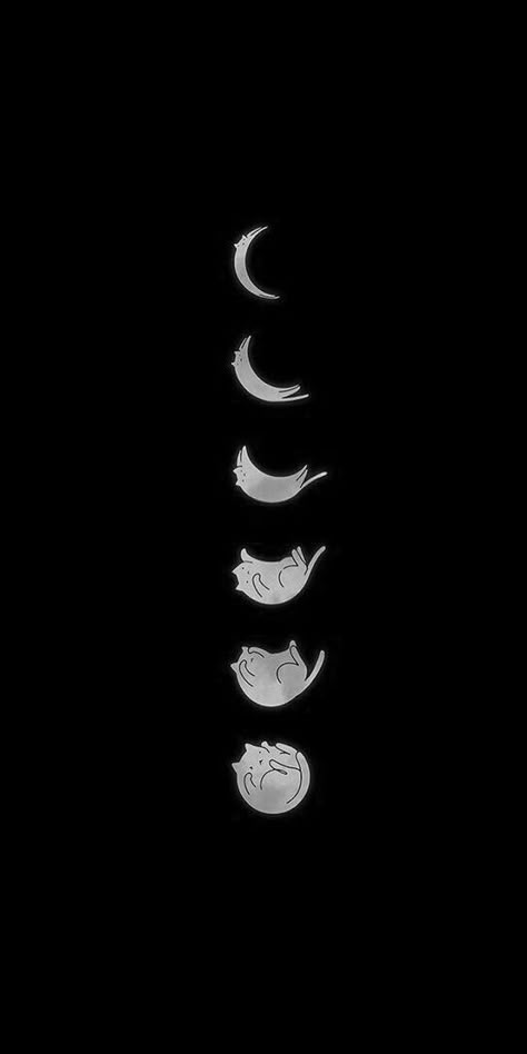 Black And White Wallpaper Drawing, Black Cat Moon Wallpaper, Space Cats Wallpaper, Black Cat And Moon Wallpaper, Cat Drawing Aesthetic Wallpaper, Cat In Space Wallpaper, Black Cat Cute Wallpaper, Cat Wallpaper Aesthetic Black, Cat Dark Wallpaper