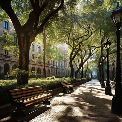 Stroll through an urban area where classic architecture meets tree-lined streets and inviting benches. The perfect fusion of nature and history within the heart of the city. City Trees Street, City Park Aesthetic, Urban Park Landscape, Walkable Neighborhood, Street Bench, Small Bones, Tree Lined Street, Urban Project, Neighborhood Park