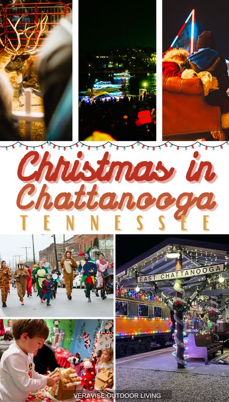 Pigeon Forge Christmas, Rock City Chattanooga, Gatlinburg Christmas, Tennessee Christmas, Tennessee Aquarium, Christmas Things To Do, City Christmas, Boat Parade, Tennessee Vacation