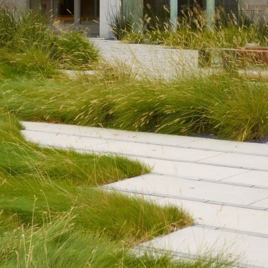 Smith Cardiovascular Research Building Landscape: Location: San Francisco, California Designers: Andrea Cochran Landscape Architecture Built: 2012  This LEED Gold project consists of a 140,000 sq. ft laboratory research building, a one acre central courtyard, and campus entry plaza. Sustainable principles helped shape the design. Evoking the site's historic salt marsh ecology, the design for the courtyard incorporates native grasses to filter and absorb stormwater runoff. The planting scheme... Andrea Cochran, Research Building, Architecture Courtyard, Building Landscape, Native Grasses, Water Wise Landscaping, Central Courtyard, Salt Marsh, Landscape Edging