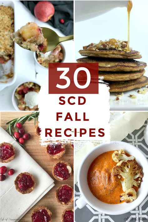 A Life of Happenstance (An SCD Recipe Blog) Healthy Autumn Recipes, Healthy Autumn, Recipes Dairy Free, Fall Crockpot, Grain Free Breakfast, Scd Diet, Scd Recipes, Specific Carbohydrate Diet, Fall Recipes Healthy