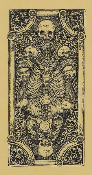 #esqueletos #vintage #sepia Skulls And Bones, Occult Art, A Skeleton, Tarot Art, Old Book, 판타지 아트, Skull And Bones, Memento Mori, Skull Art