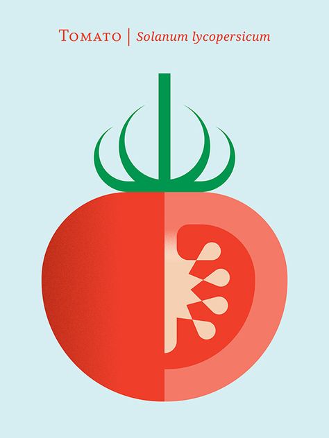 Vegetable Design, Vegetable Illustration, Vegetable Prints, Modern Art Print, Graphic Style, Fruit Art, Art Print Poster, Modern Art Prints, Food Illustrations